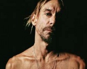 Игги Поп станет рок-вампиром