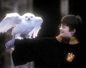 Настоящему Гарри Поттеру 78 лет