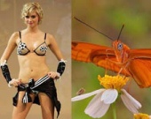 Если бы звезды были животными...