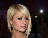 Пэрис отказалась спасать пьяных слонов