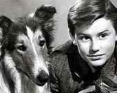 Лесси и ее двойники