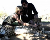 Пэрис Хилтон хочет купить гепарда