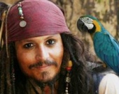 Попугаи сразятся за плечо Джонни Деппа