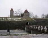 Ширман фільмує повнометражне кіно для дітей