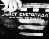 Владимир Мотыль завершил свой новый фильм