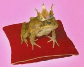 Disney превратил принцессу-лягушку в негритянку