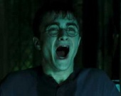 Гарри Поттера раскритиковали