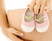 Lionsgate экранизирует руководство для беременных