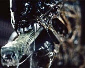 Ридли Скотт готов вернуть на экраны "Чужого"