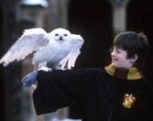 Русского "Гарри Поттера" редактирует армия добровольцев