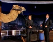 Бен Стиллер подарил Джимму Киммелу верблюда