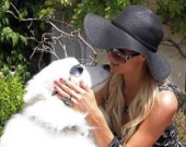 Пэрис Хилтон даже собаку сделает модной