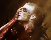 Гарри Поттер - чудо в перьях