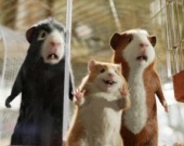 Морские свинки победили Гарри Поттера