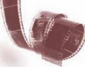 На кинофестивале Scanorama будет показано 80 фильмов