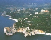 В "Артеке" проведут кинофестиваль