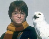 Гарри Потер не сказочный герой, а порно