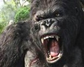 Как снимали спецэффекты в "Кинг-Конге" (ФОТОРЕПОРТАЖ)