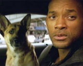 Фильм Уилла Смита не хотят показывать в Китае