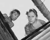 В Греции показывают Тарковского